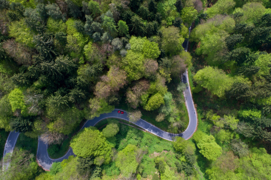 An aerial view of a winding and curvy road in the hillside surrounded with lush green forest.